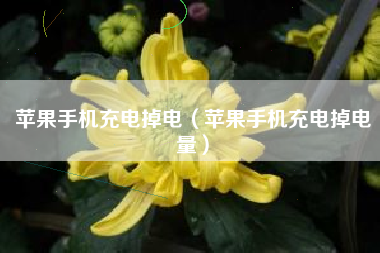 苹果手机充电掉电(苹果手机充电掉电量)